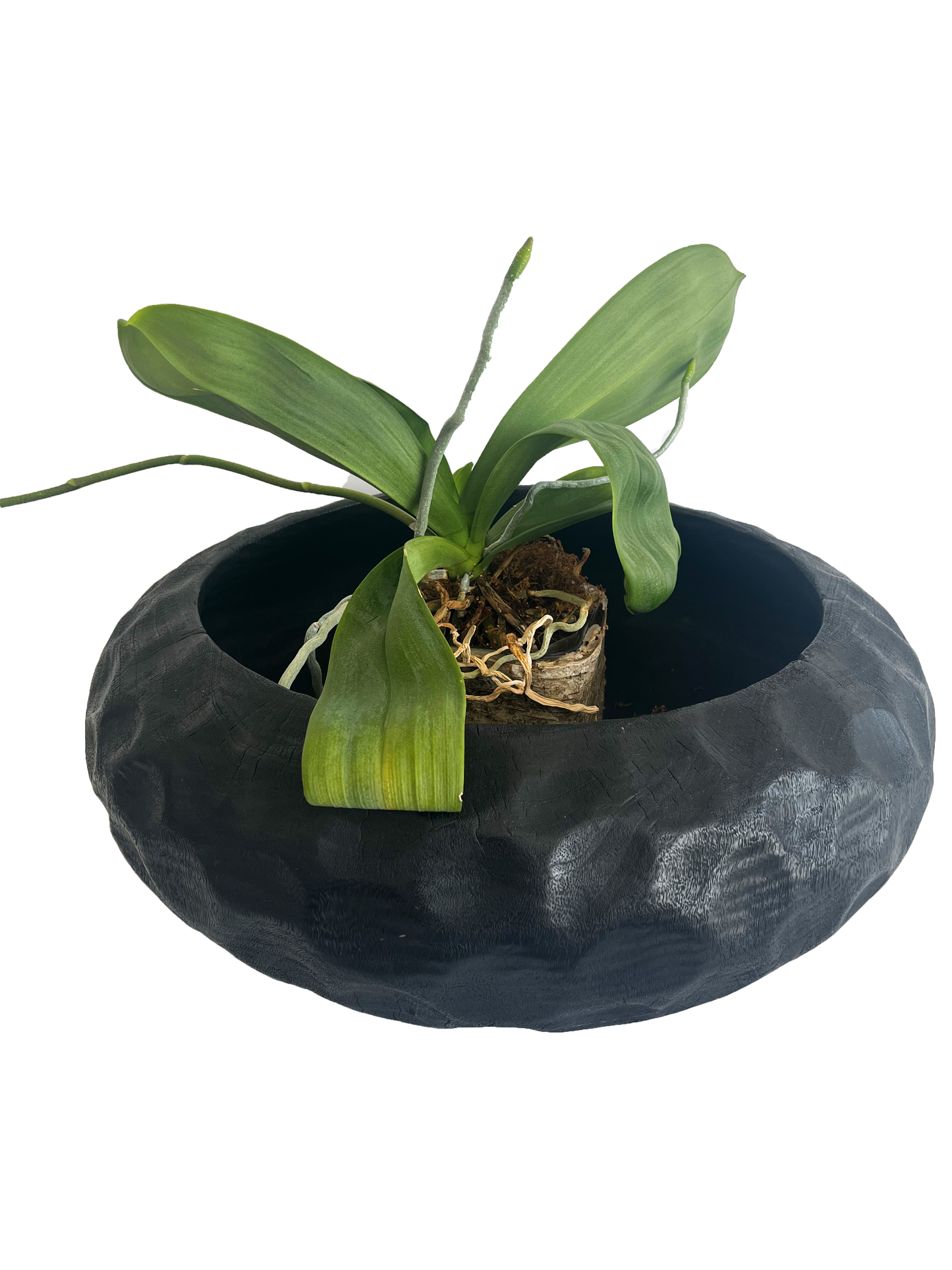 Black Dimple Circular Bowl