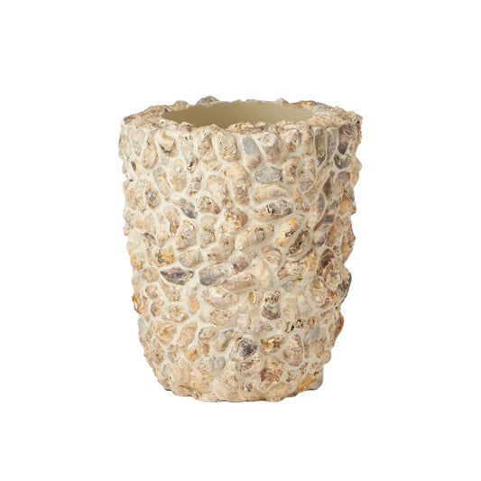 Natural Oyster Shell Vase
